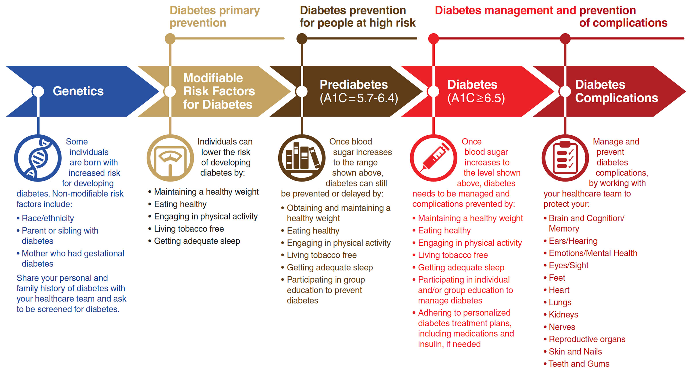 Diabetes Guide graphic large